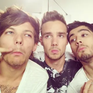 🤥 One Direction, boys band, chanteurs, pop, musique, groupe, célébrités telegram sticker