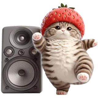 🕺 kat, kitten, aardbei, schattig, speaker, muziek, dier, dansen telegram sticker