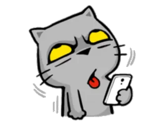 🙄 Katze, Cartoon, Lustig, Tier, Handy, Ausdruck telegram sticker