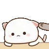😼