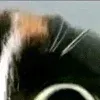 😂