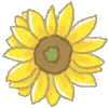 🌼