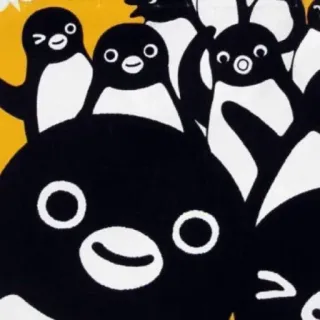 🐧 pingouin, dessin animé, animal, mignon, noir et blanc, autocollant telegram sticker