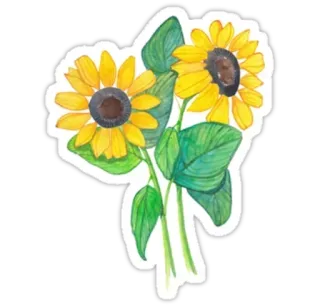 🌻 Sonnenblumen, Blumen, Gelb, Natur, Pflanzen, floral telegram sticker