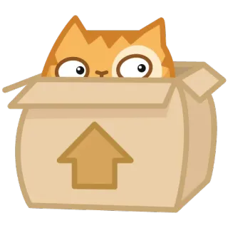 📦 kat, doos, dier, schattig, cartoon, sticker whatsapp sticker
