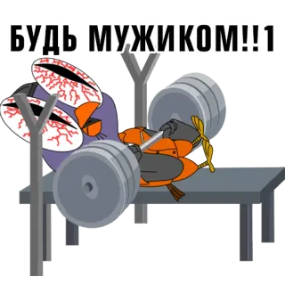 💪 БУДЬ МУЖИКОМ!!1 pájaro, halterofilia, gimnasio, ejercicio, dibujos animados, motivación telegram sticker