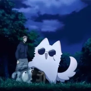 🧊 anime, kot, postać, okulary przeciwsłoneczne whatsapp sticker