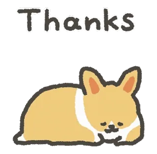 🙏 Thanks cane, corgi, dormire, grazie, carino, animale, animale domestico telegram sticker