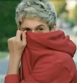 🤐 Niall Horan Niall Horan, One Direction, cantante, celebridad, persona telegram sticker