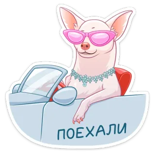🚘 ПОЕХАЛИ cachorro, chihuahua, dirigindo, carro, óculos de sol, joias, desenho animado, animado whatsapp sticker