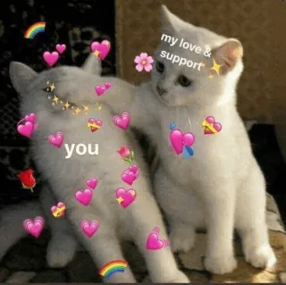 ⚡️ my love & support
you gatos, amor, apoyo, cariño, tierno, animales, lindo telegram sticker