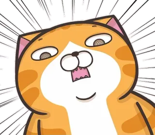 😨 Katze, Cartoon, Lustig, Tier, Meme, Ausdruck, Süß telegram sticker
