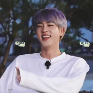 🐹 Jin 절레절레 kpop, koreanischer Pop, Idol, Sänger, Unterhaltung, Mann, lächelnd telegram sticker