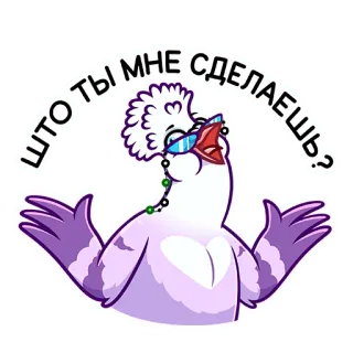 😏 ЧТО ТЫ МНЕ СДЕЛАЕШЬ? птица, голубь, очки, мультфильм, смешной, мем, стиль telegram sticker
