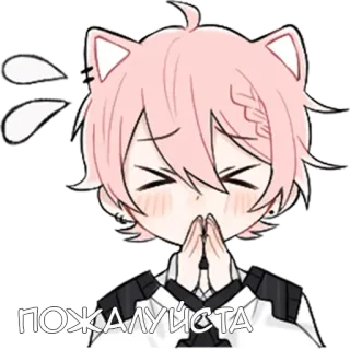 🙏 ПОЖАЛУЙСТА anime, cat ears, cute, kawaii, please whatsapp sticker