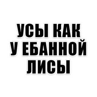 🐺 УСЫ КАК У ЕБАННОЙ ЛИСЫ 俄语, 侮辱, 俚语, 狐狸, 胡子 telegram sticker