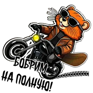 🏍 БОБРИМ НА ПОЛНУЮ! beaver, motorcycle, animal, russian, sticker, cartoon, mascot, speed telegram sticker