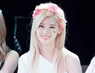 😁 Sana K-Pop, Idol, Mahkota bunga, Potret, Wanita, Tersenyum, Sana, Twice whatsapp sticker