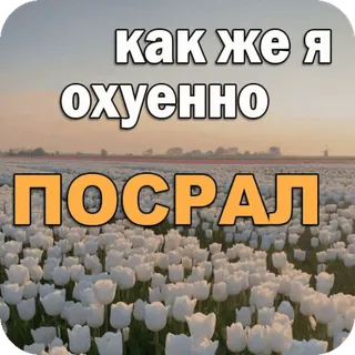 💩 как же я охуенно ПОСРАЛ Russo, ofensivo, flores, natureza telegram sticker