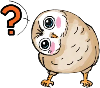 😡 ? сова, вопросительный знак, милый, мультик, птица, каваий telegram sticker