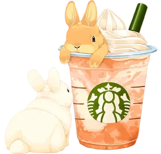 🐰 Hase, Häschen, Starbucks, Kaffee, süß, Tier, Getränk, kawaii whatsapp sticker