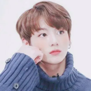 🌺 pessoa, retrato, homem, rosto, suéter, kpop telegram sticker