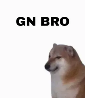 🌙 GN BRO 도지, 밈, 잘자요, 개 telegram sticker