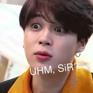 ❣️ UHM, SIR? meme, funny, kpop, reaction, expression, uhm sir telegram sticker