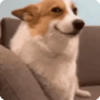 😭