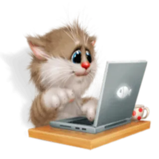 💻 gato, computador, laptop, animal, fofo, kawaii whatsapp sticker