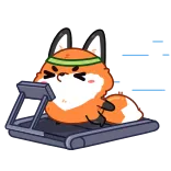 🤸 volpe, tapis roulant, esercizio, fitness, animale, cartone animato telegram sticker