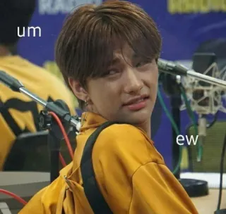 🐹 um
ew réaction, expression, dégoût, mème, kpop telegram sticker