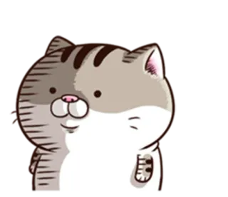 😐 Katze, süß, Aufkleber, Tier whatsapp sticker