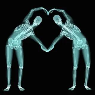 💙 skeleton, x-ray, anatomy, heart, bones, medical telegram sticker