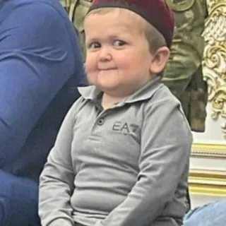 😌 Hasbulla Magomedov Hasbulla, Meme, Child, Funny, Cute telegram sticker