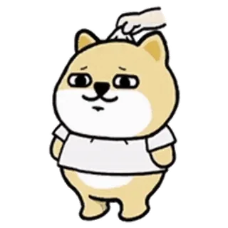 💬 perro, animal, dibujo animado, lindo, mascota, caprichoso telegram sticker