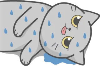 😰 Katze, schwitzend, Cartoon, erschöpft, lustig, Tier, Illustration telegram sticker