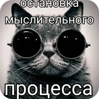 Больше стиков тут: @stikery4 telegram stickers