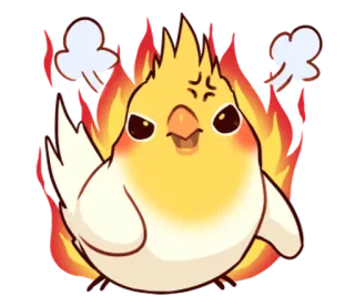 😡 calopsitte, oiseau, en colère, flamboyant, dessin animé, autocollant whatsapp sticker