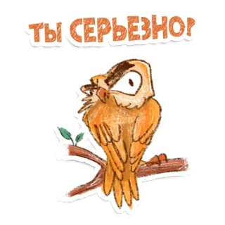 😳 ТЫ СЕРЬЕЗНО! uccello, gufo, domanda, espressione, serio, russo telegram sticker