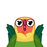 😍 perroquet, oiseau, yeux, amour, dessin animé telegram sticker