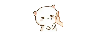 😐 猫, 動物, 可愛い, ストップ, 手 telegram sticker