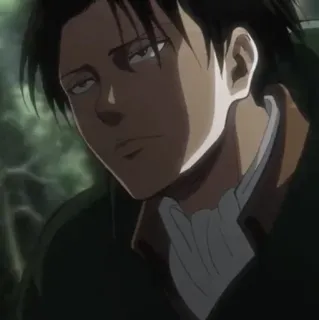 🗿 Levi Ackerman Attack on Titan anime, postać, levi, ackerman, atak tytanów, aot telegram sticker