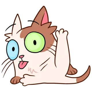 💨 chat, animal, dessin animé, mignon, kawaii, autocollant whatsapp sticker