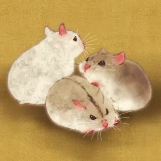 🐹 hamsters, animals, pets, rodents, cute, illustration telegram sticker