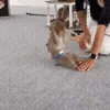 🏋️