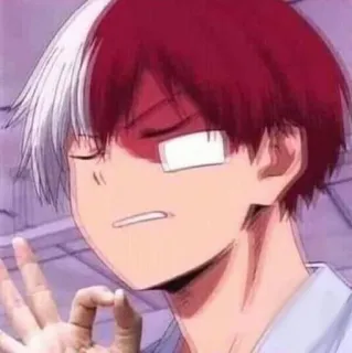💿 Shoto Todoroki My Hero Academia anime, manga, Shoto Todoroki, My Hero Academia, character, superhero telegram sticker