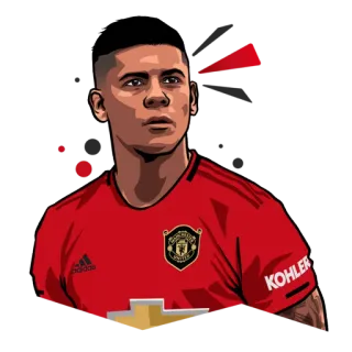🤔 football, football, manchester united, kohler, adidas telegram sticker