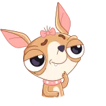🤔 Hund, Stinkefinger, unhöflich, Cartoon, Tier, frech whatsapp sticker
