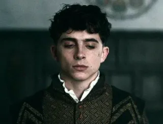 🦇 Timothée Chalamet The King actor, película, retrato, histórico, rey, Chalamet, The King telegram sticker